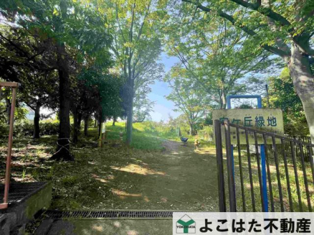 �_�ސ쌧���s�{�O�悯�₫�� �̒��Ã}���V�����̎��ӊ�